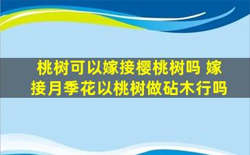 桃树可以嫁接樱桃树吗 嫁接月季花以桃树做砧木行吗